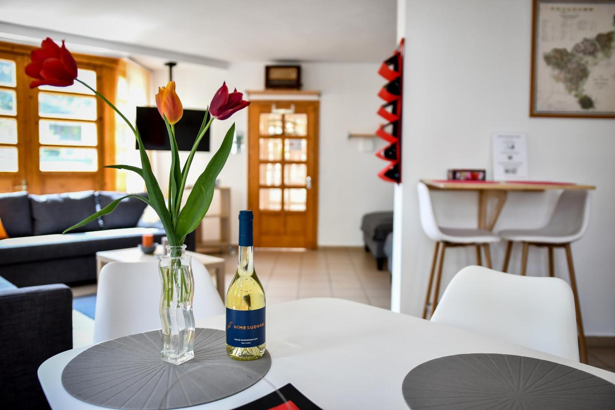 Boralom Studio Apartman Токай Екстер'єр фото